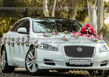 White-Jaguar-XJL-Portfolio-The-BOSS-Luxury-Wedding-Cars-Lucknow-Lakhimpur-Kheri-Palia-Kalan available for Weddings, Parties, Pre Wedding and post wedding Photography and Videography